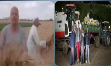 الداخلية تكشف ملابسات فيديو "سرقة محصول قمح" بالشرقية 