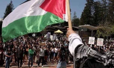 لميس الحديدي عن الحراك في جامعة كولومبيا للتضامن مع غزة: موقف نعمت شفيق أشعرنا بخذلان كبير