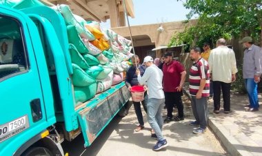 20 ألف و258 طن قمح اسقبلتهم الشون والصوامع بالدقهلية