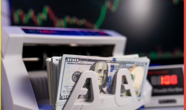 315 تريليون دولار.. إجمالي الدين العالمي يبلغ أعلى مستوى منذ سنوات