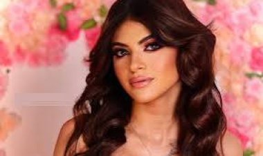 «آه الشارع اللي وراه»... حبس سوزي الأردنية  سنتين وتغريمها 300 ألف جنيه 