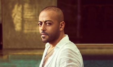 رغم الحرائق.. تامر عاشور يحيي حفلاً غنائيًا في لوس أنجلوس