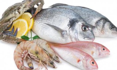 ما هو تفسير السمك في الحلم برمضان؟