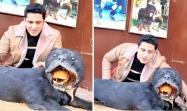 شاب يحنط كلبه ويثير الجدل على السوشيال ميديا