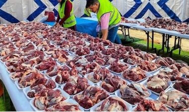 «الأوقاف» تسلم 1.5 طن لحوم من مشروع صكوك الإطعام لأهالي غزة