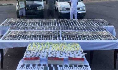 ضبط تشكيل عصابي بجنوب سيناء تخصص في جلب المخدرات بقيمة تجاوزت 3 ملايين جنيه