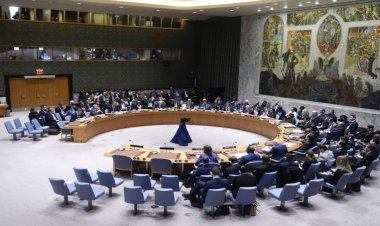 مندوب سلوفينيا لدى مجلس الأمن: قطاع غزة شهد 6 أشهر من الدمار والتجويع