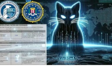 الخارجية الأمريكية ترصد 15 مليون دولار لإحباط نشاط قراصنة «القط الأسود»