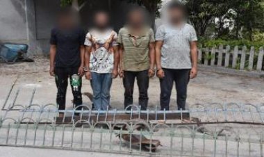 سقوط 13 لصًا لارتكاب جرائم سرقات الشقق والسيارات والدراجات النارية والكباري