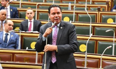 رئيس زراعة النواب يطالب بإيجاد حلول تأمينية للمزارعين لاستقرار أوضاعهم اقتصاديًا واجتماعيًا