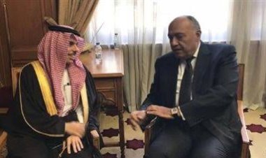 البحر الأحمر والأونروا أبرز الملفات.. تفاصيل لقاء وزيرا خارجية مصر والسعودية