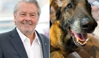«طلب قتل كلبه الخاص بعد وفاته».. عائلة ألان ديلون ترفض تنفيذ وصيته لهذا السبب