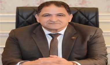 «برلماني»: القيادة السياسية حريصة على دعم وتطوير قطاع الصناعة 