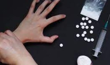 صندوق مكافحة الإدمان: الدراما تلعب دورًا مهمًا في توعية الشباب بمخاطر المخدرات