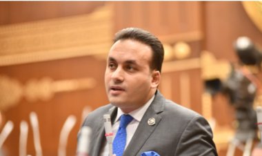 النائب عمرو فهمي: صندوق النقد الدولي لطالما كان يمثل ضغطا على الشعب المصري