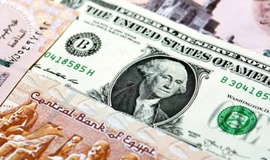 محللون: البنك المركزي يخطو خطوة جديدة نحو التعويم