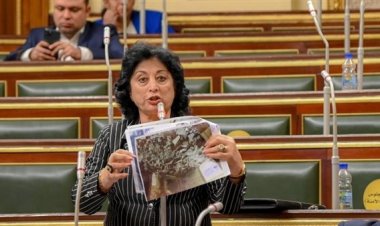 النائبة ميرفت عازر تشيد بدعم حق فلسطين في عضوية كاملة بالأمم المتحدة