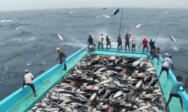 للمرة الثانية.. مصر تستضيف بطولة العالم لصيد الأسماك 2028 بمشاركة 25 دولة