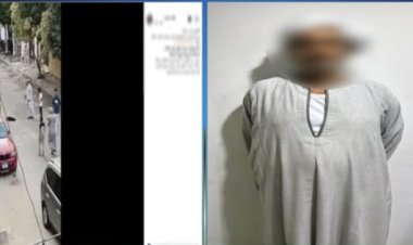 القبض على حارس عقار تسبب فى نفوق كلب بمنطقة أكتوبر  