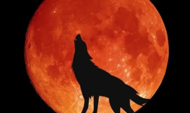 فرصة لمراقبة النجوم والكواكب.. كل ما يجب معرفته عن «قمر الذئب» أول بدر في 2025