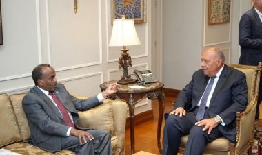 وزير الخارجية يستقبل القائم بأعمال وزير خارجية الصومال في القاهرة