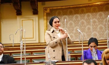 النائبة رحاب موسى تشيد بموقف الرئيس السيسي تجاه القضية الفلسطينية وحل الدولتين