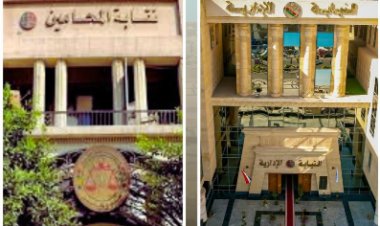 النيابة الإدارية تباشر الإشراف القضائي على المرحلة الثانية لانتخابات نقابات المحامين الفرعية بـ ١٠ محافظات