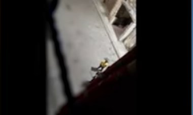 كشف ملابسات فيديو التعدي على سيدة بالسب والضرب بالإسكندرية 