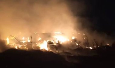 "بسبب أهله "....طالب وراء  حرائق العقلة القبلية الغامضة بكفر الشيخ 