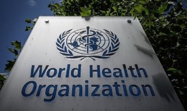 الصحة العالمية: الوضع يزداد سوءًا في محيط مجمع ناصر الطبي في غزة