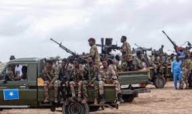 القوات العسكرية الصومالية تقبض على العشرات من العناصر الإرهابية