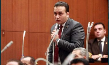 النائب عمرو فهمي: ثورة 30 يونيو نجحت بوحدة وتماسك المصريين