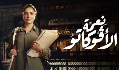 كم عدد حلقات مسلسل نعمة الأفوكاتو 2024