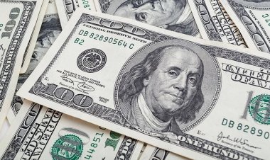 هينزل عن 40 جنيهًا.. خبير اقتصادي يعلن مفاجأة بشأن سعر الدولار