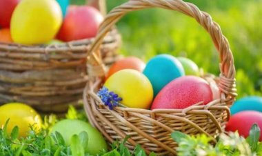 بعد انتهاء عطلة عيد الفطر المبارك.. تعرف على موعد إجازة شم النسيم 2025