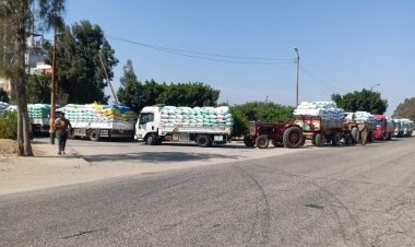 وزير التموين: اليوم فتح جميع نقاط استلام وتوريد القمح المحلي بالمحافظات