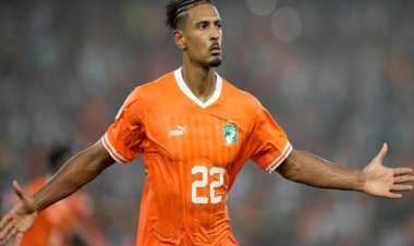 «سيباستيان هالر».. قهر «السرطان» ليتوّج الأفيال بالأميرة السمراء