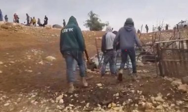 مستوطنون يقتحمون مزارع الفلسطينيين ويسرقون المواشي