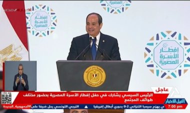 الرئيس السيسي: إرادة المصريين صنعت دولة ديمقراطية على الرغم من التحديات 
