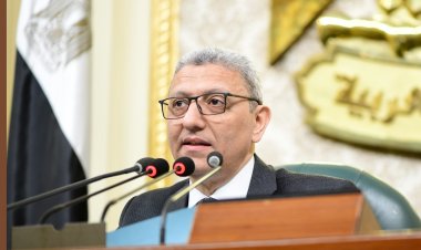 «النواب» يوافق على منحة تعاون لدعم مشروع الصناعة الخضراء المستدامة تصل لـ 500 ألف يورو