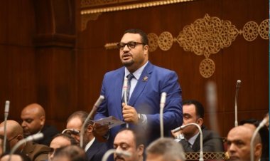 النائب أحمد قناوي: مصر لديها سمعة طيبة في مجال المحاصيل الزراعية