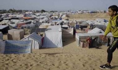 مهرجان القاهرة السينمائي الدولي يعلن عن برنامج افلام من المسافة صفر