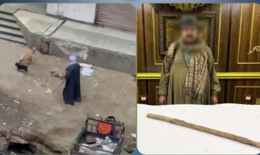 ضبط حارس عقار تعدّى على الكلاب الضالة بعصا خشبية في الطالبية