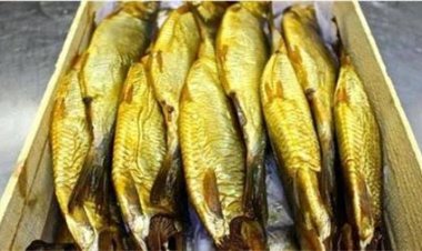 بعد نجاح تصديرها إلى 32 دولة.. مقدار ما يتناوله المصريون يوميا من الرنجة