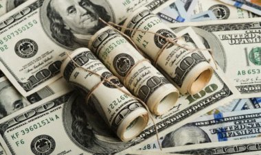 ضربة جديدة للسوق السوداء.. ضبط قضايا اتجار بالنقد الأجنبي قيمتها 23 مليون جنيه 