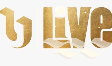 «المتحدة» تطلق قناة «U LIVE» تزامنا مع فاعليات الدورة الثانية لمهرجان «العالم علمين» 