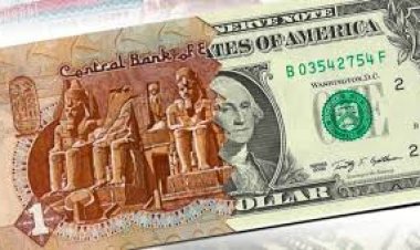 أرتفاع ملحوظ في سعر الدولار مقابل الجنيه (تفاصيل)