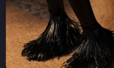 حذاء على شكل فرشاة يثير سخرية رواد الفيس بوك (تفاصيل)