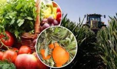 12 محورًا للتفوق.. استراتيجية مبتكرة لزيادة الصادرات الزراعية