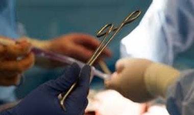 تفاصيل مثيرة في قصة سيدة بورسعيد.. لانتزاع الأعضاء البشرية وبيعها 